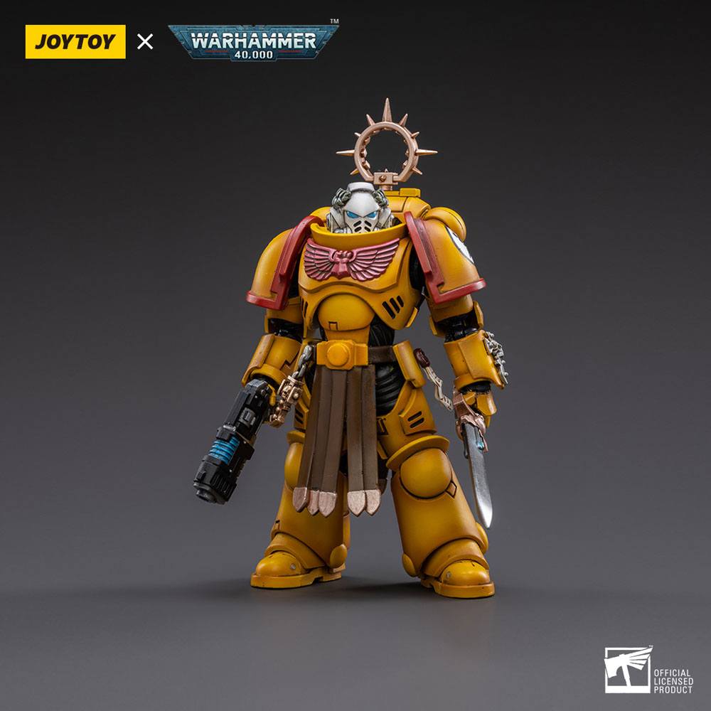JOYTOY - Warhammer 40K - Imperial Fists Veteran Brother Thracius 1/18 – Image 3